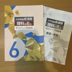 中学受験新演習 算数 小5・6 上 実力アップ問題集 - メルカリ