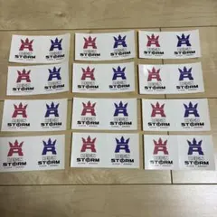 REIGN STORM ステッカー 12枚セット