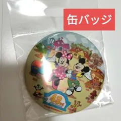 缶バッジ　 東京ディズニーランド43周年 トゥーンタウン　 ミッキー　ミニー