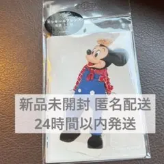 ディズニー 写真セット ミッキーマウスと仲間たち　ディズニーリゾート