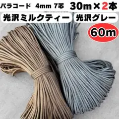 Item thumbnail for item 5745ec3d-e302-4c66-a0f1-5d6a3287e699