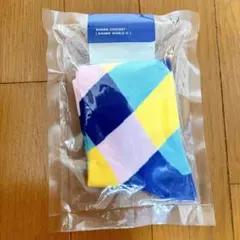 SHINee World Ⅳ 4 グッズ ソックス 靴下