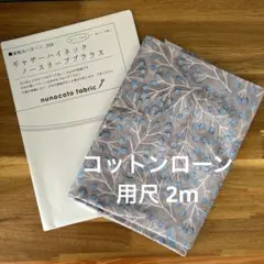 Item thumbnail for item 23216c68-1c25-4621-83a8-06badcac5e4e