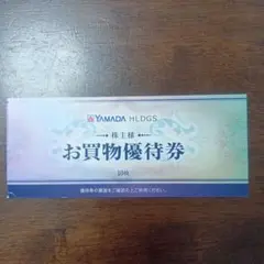 ヤマダ電機 株主優待券 5000円分(500円×10枚)
