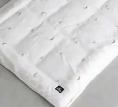 Item thumbnail for item 7420e3d8-cc46-4854-8d75-43f8d09f859e