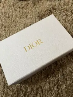 DIOR ホワイトフラグメントケース