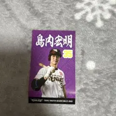 Item thumbnail for item 1000a41d-ff2a-47da-9f79-8cf5aa278820