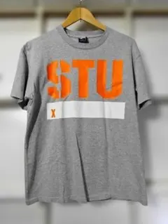 90s STUSSY ビッグロゴ Tシャツ M グレー USA製 紺タグ 透かし