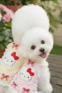 2026年最新】犬服ピンクドレスの人気アイテム - メルカリ