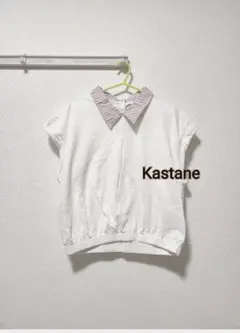 #302 Kastane チェック襟 半袖トップス