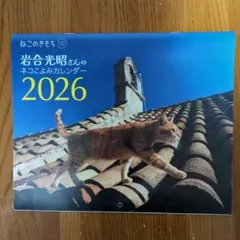 Item thumbnail for item bee24b9a-ed43-485d-9f1d-6f27bac35d6a