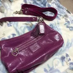 最終値下の予定【COACH】2WAYデイジーポピー ベリー