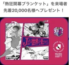 セレッソ大阪　熱狂開幕ブランケット2枚セット