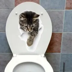 Item thumbnail for item c7dd1d28-096f-4bad-bef5-ae6e6e318c87