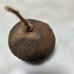 Item thumbnail for item b3a9073b-c0c0-4214-9dba-e45c1e2bb9bc