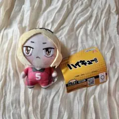 ハイキュー!! ぬいぐるみマスコット　孤爪研磨