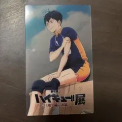 ハイキュー！！ゴミ捨て場の決戦展　入場特典　影山飛雄