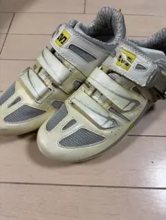 Item thumbnail for item cf8b65e4-3bec-469a-8edf-5b631d6837d8