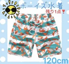 水着　スイムウェア　海パン　子供　キッズ　男の子　プール 海　サメ