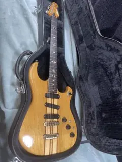 激レア品！FERNANDES TEJ Custom イベント出展品 - メルカリ