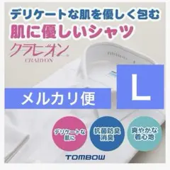 Item thumbnail for item 2e3d0ef1-6925-46e0-897c-fc484824e487