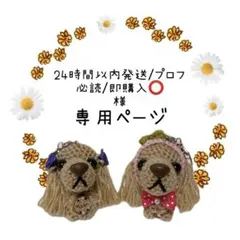 24時間以内発送/プロフ必読/即購入⭕️様専用ページ