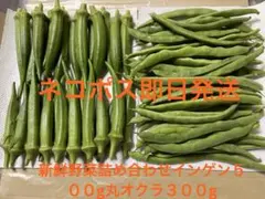 農家直送 三尺ササゲ 10kg 長ささげ 新鮮野菜 送料込み 農家直送 三尺ササゲ 10kg 長ささげ 新鮮野菜 送料込み - メルカリ