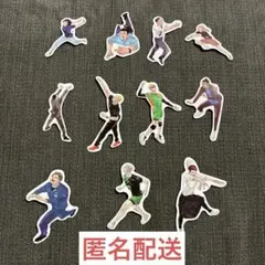 ハイキュー　ステッカー　11枚セット