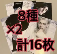 straykids フライヤー　8種　×2 タワレコ　GIANT ③