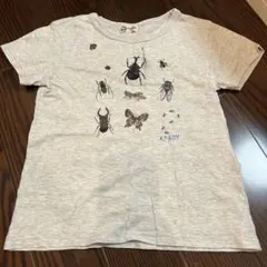 ニットプランナー KP Tシャツ　昆虫　130
