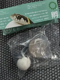 【アオウミガメ・フィギュア】孵化 フィギュアマスコット＆ボールチェーン