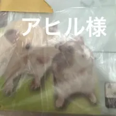 ハムスターケースのサムネイル