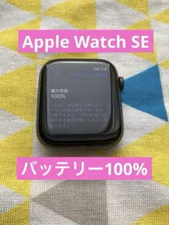 Apple Watch SE 44mm バッテリー100%
