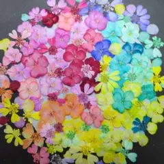 ひめ様 リクエスト 2点 まとめ商品