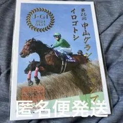 ぽっぽふ様 リクエスト 2点 まとめ商品