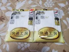 グンゼ　快適工房　半袖U首　L　2枚