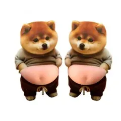 ☆ぷにぷにおなかシール 　お腹シール 柴犬 3D ぷくぷく 推し活 スマホ09