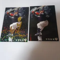 Item thumbnail for item aad4b9ae-39d5-42f0-9e09-75376997829b