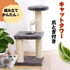 Item thumbnail for item ab3cb56a-ac2d-49ee-8bf0-f43d7b226f61