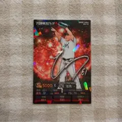 プロ野球チップス カード 平良海馬