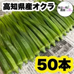 夏野菜【高知県産オクラ】A品＆B品 50本 おくら 野菜 産地直送Tjjのサムネイル