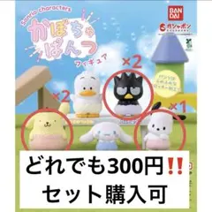 かぼちゃぱんつ サンリオ