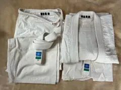 Item thumbnail for item 7e026f0e-4e5b-4f22-bc3f-24971662e6dd