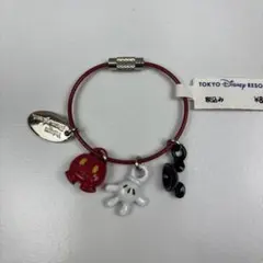 タグ付き　ディズニーリゾート　ディズニーランド　ミッキー キャラクター
