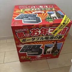 ヨドバシカメラ 夢のお年玉箱 高音質フルワイヤレスイヤホン夢 福袋