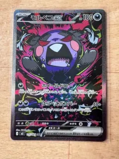 モルペコex SAR 115/081 - メルカリ