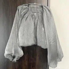 試着のみ⭐︎andrea&co. 同型　シアーシャイニーブルゾンM