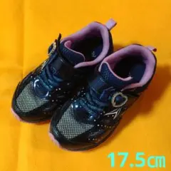 瞬足 シュンソク キッズ 子供靴 幅広 軽量 17.5㎝ LEC 6440