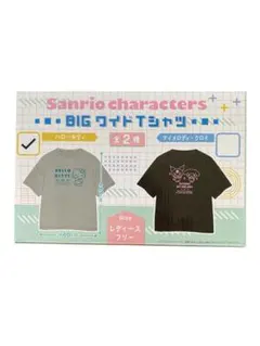 ハローキティ　BIGワイド　Tシャツ