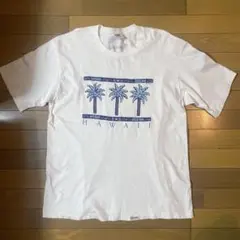 Item thumbnail for item f1b9adfb-a232-4220-856b-89d7d0d63f01